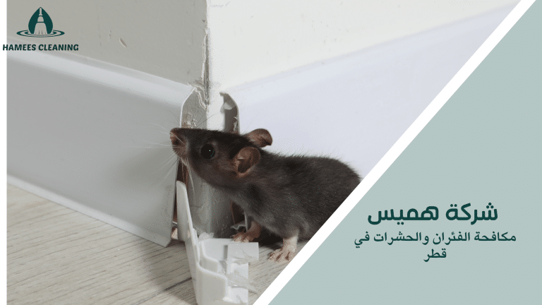 مكافحة الفئران والحشرات في قطر