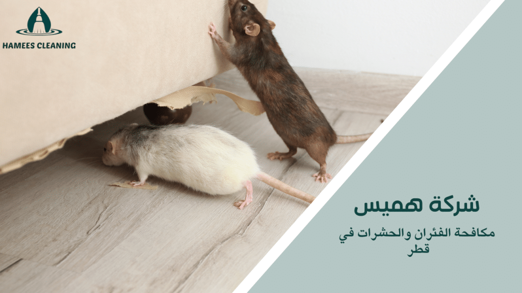 مكافحة الفئران والحشرات في قطر