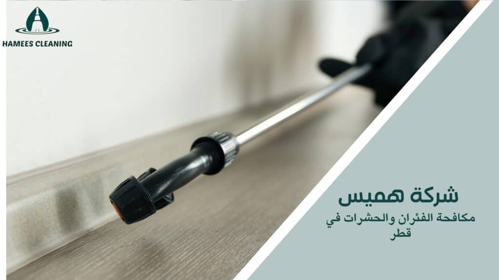 مكافحة الفئران والحشرات في قطر