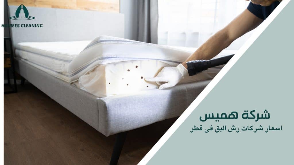 اسعار شركات رش البق فى قطر
