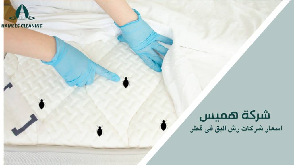اسعار شركات رش البق فى قطر
