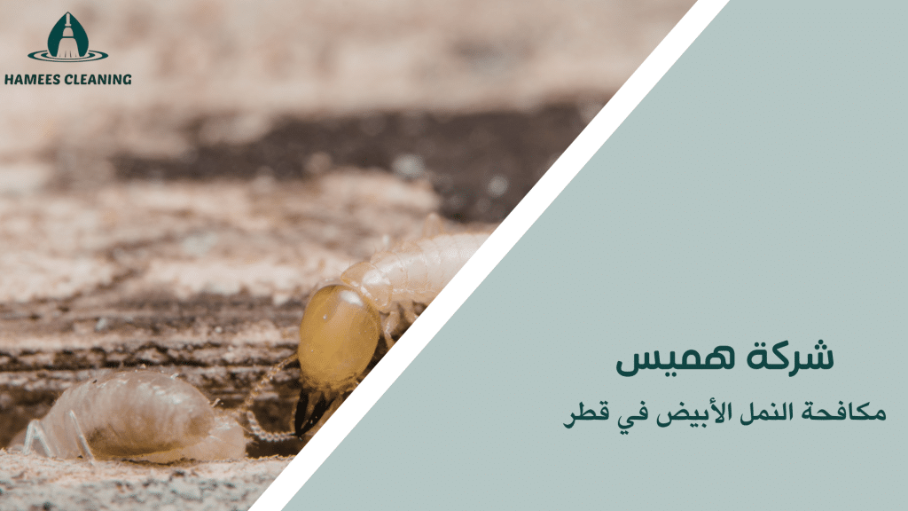 مكافحة النمل الأبيض في قطر