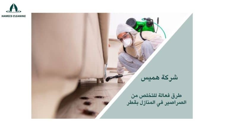 التخلص من الصراصير في قطر