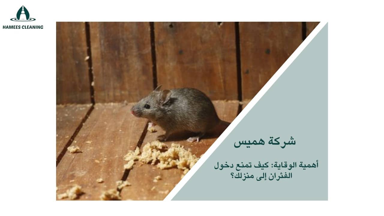 مكافحة الفئران في قطر