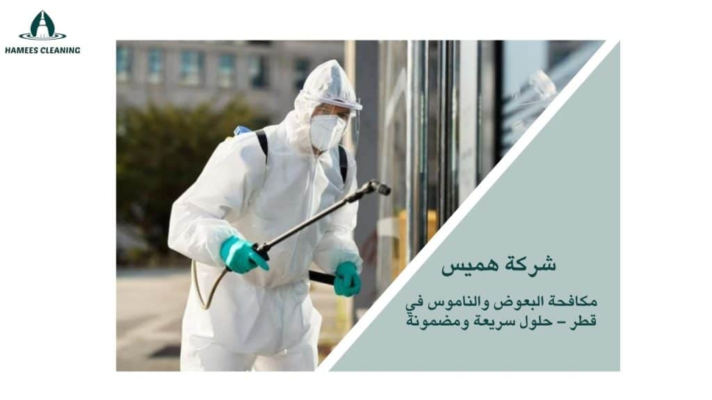 مكافحة الناموس في قطر
