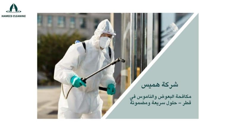 مكافحة الناموس في قطر