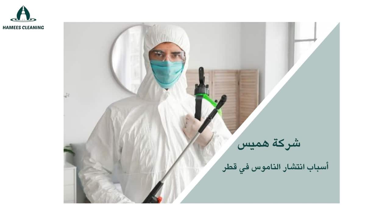 مكافحة الناموس في قطر
