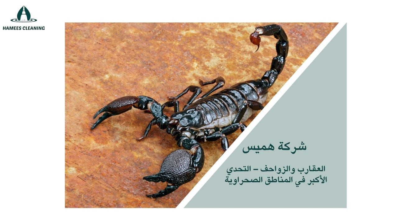 مكافحة الحشرات الزاحفة قطر