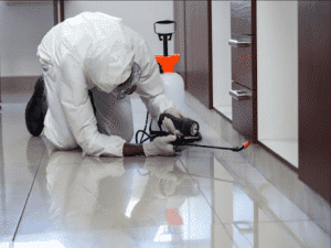 شركات رش الحشرات