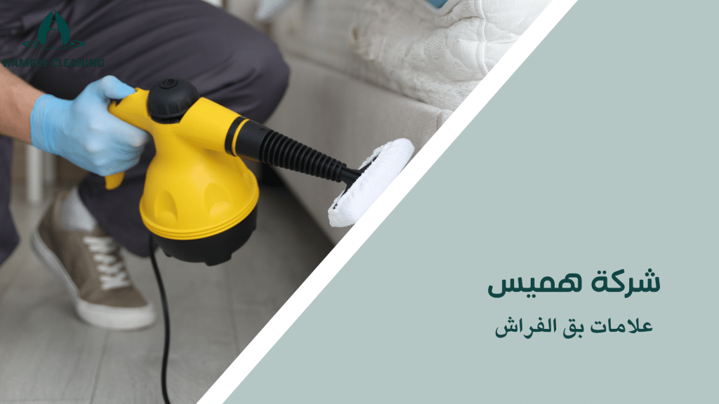 علامات بق الفراش