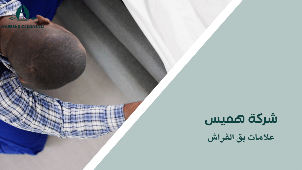 علامات بق الفراش