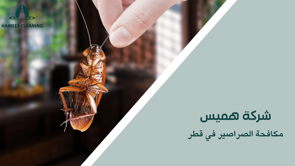 مكافحة الصراصير في قطر