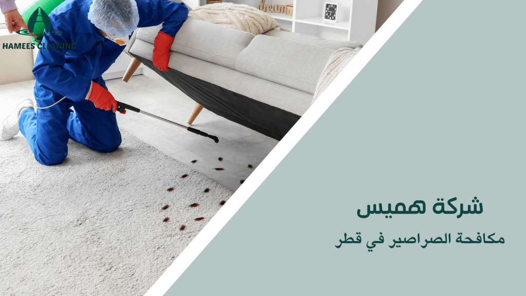 مكافحة الصراصير في قطر