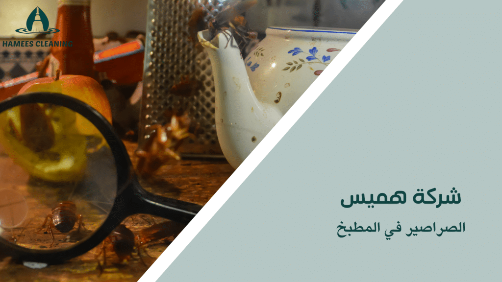 الصراصير في المطبخ