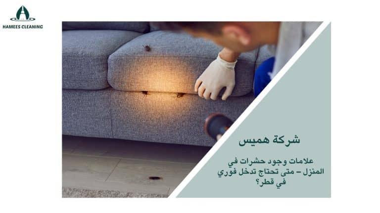 علامات وجود حشرات في المنزل