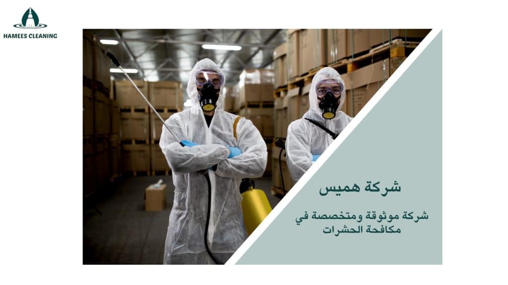 مكافحة النمل في قطر