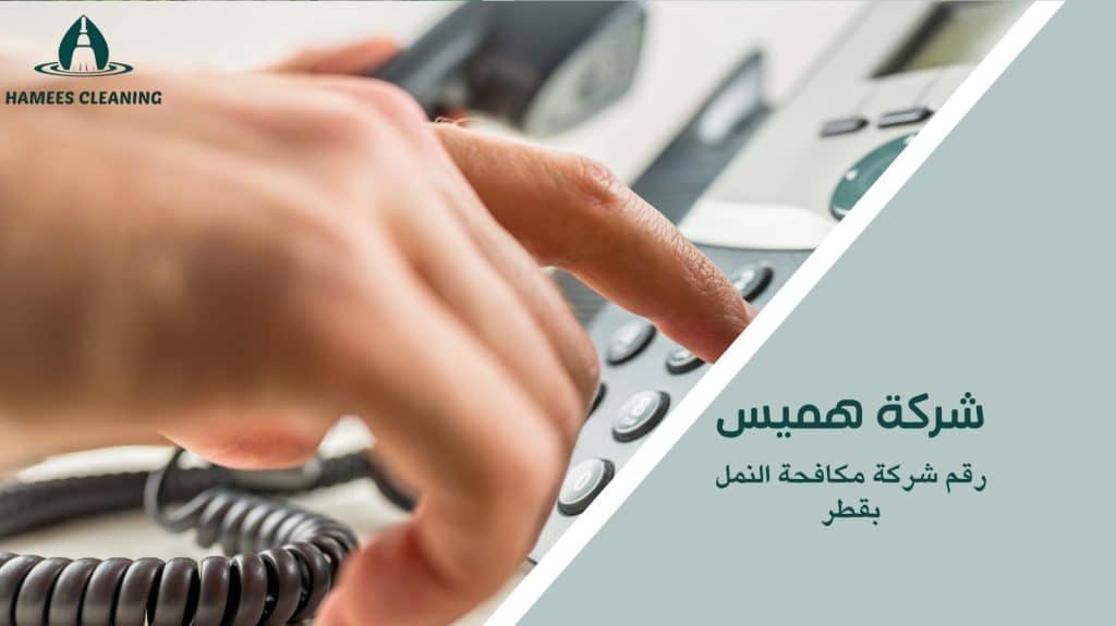 الحماية من النمل