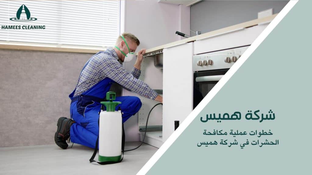 مكافحة الحشرات في الخور