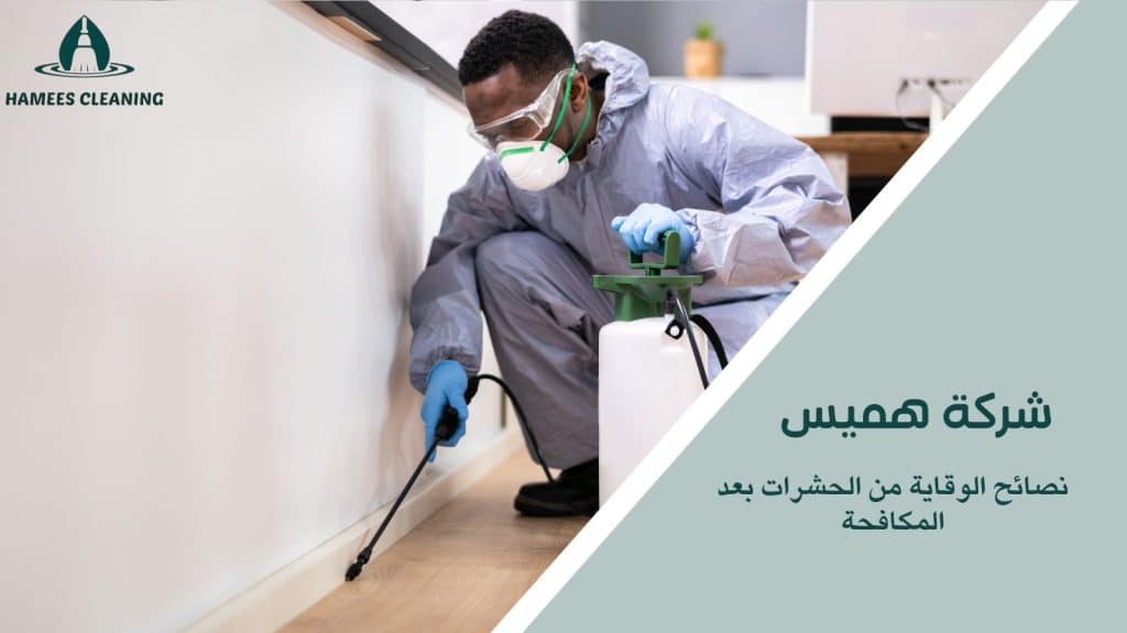 شركة مكافحة الحشرات في الوكرة