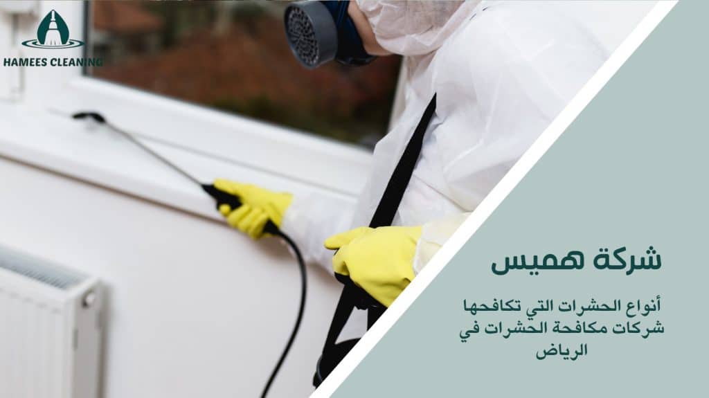 مكافحة الحشرات في الوكرة