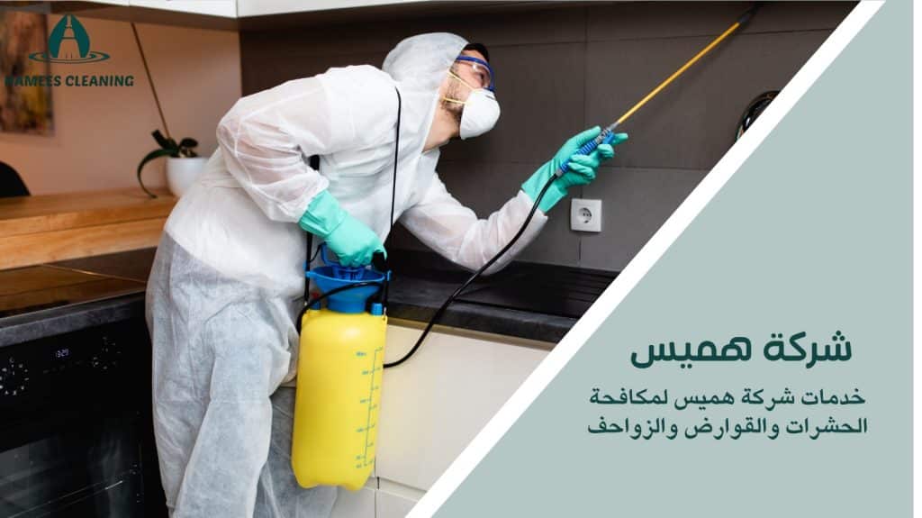 مكافحة الحشرات في قطر