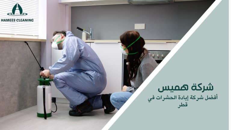 إبادة الحشرات في قطر بخدمات احترافية لضمان منزل نظيف وآمن