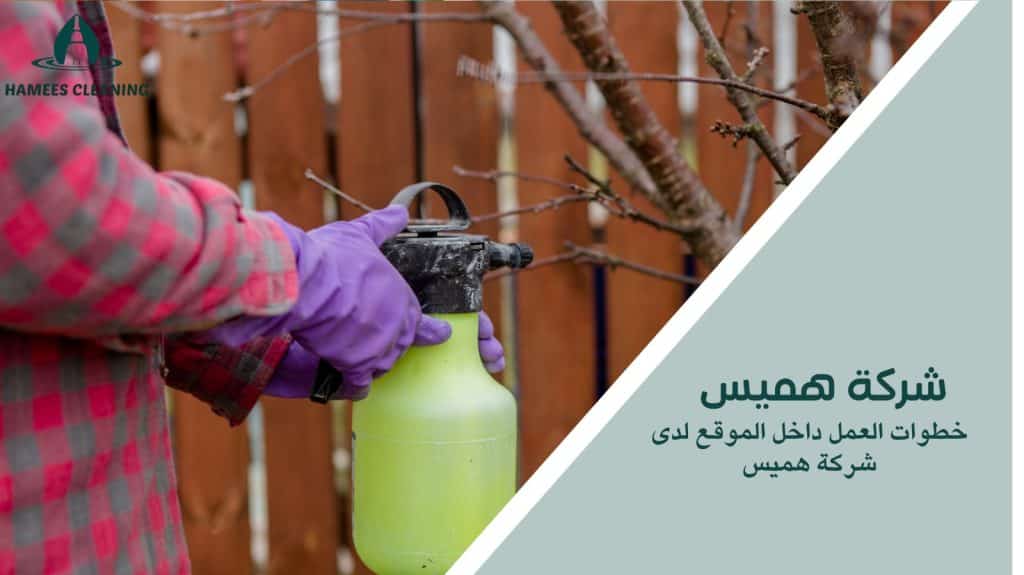 مكافحة الحشرات المنزلية في قطر