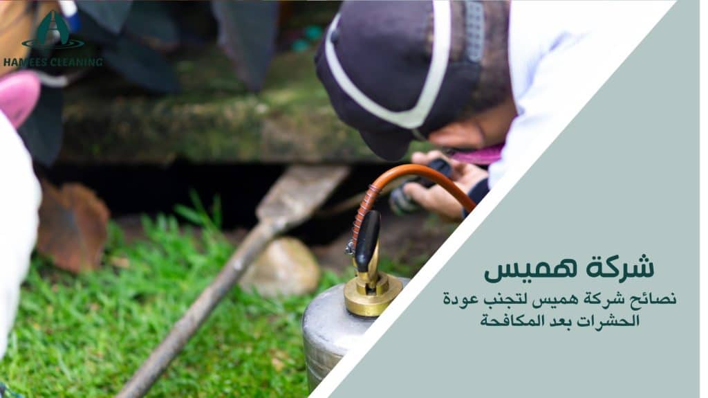 مكافحة الحشرات المنزلية في قطر