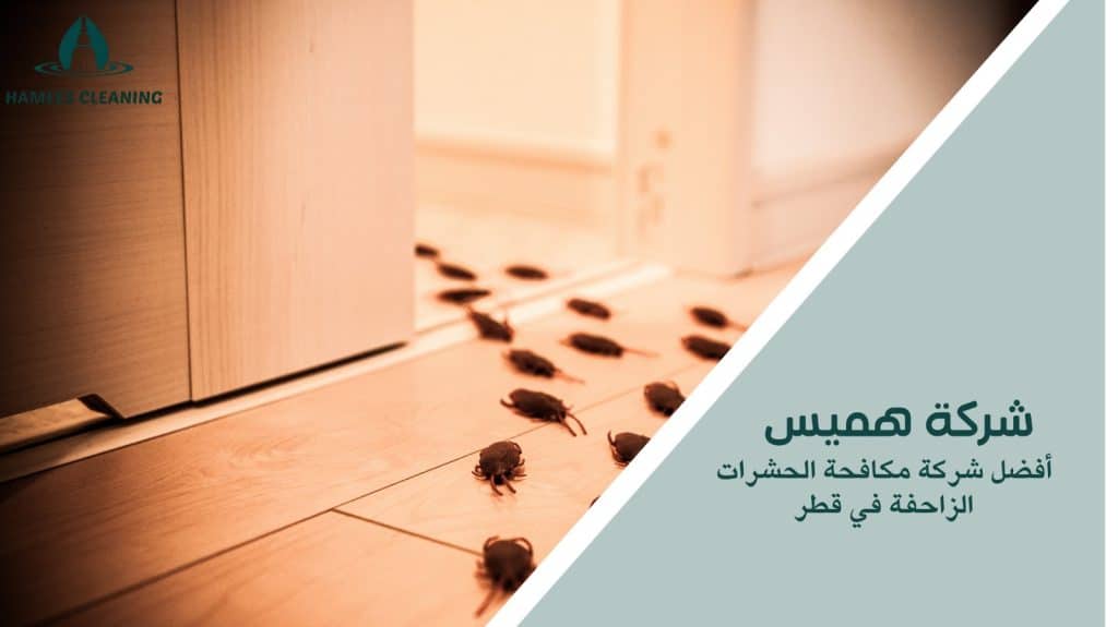 مكافحة الحشرات الزاحفة في قطر