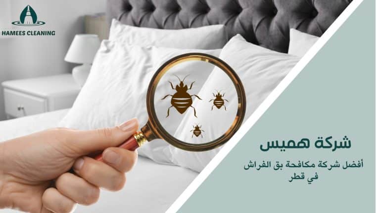 مكافحة بق الفراش في قطر