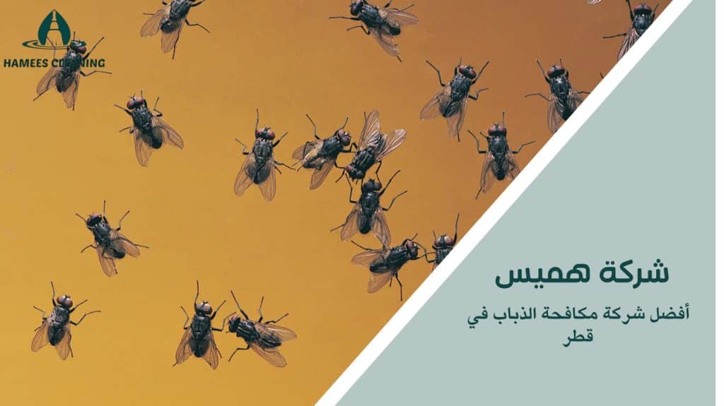 مكافحة الذباب في قطر