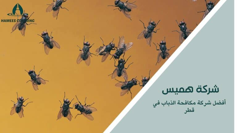 مكافحة الذباب في قطر