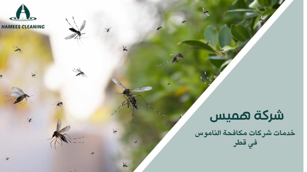 مكافحة الناموس في قطر
