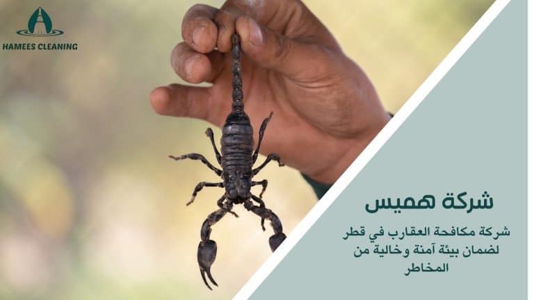 مكافحة العقارب في قطر
