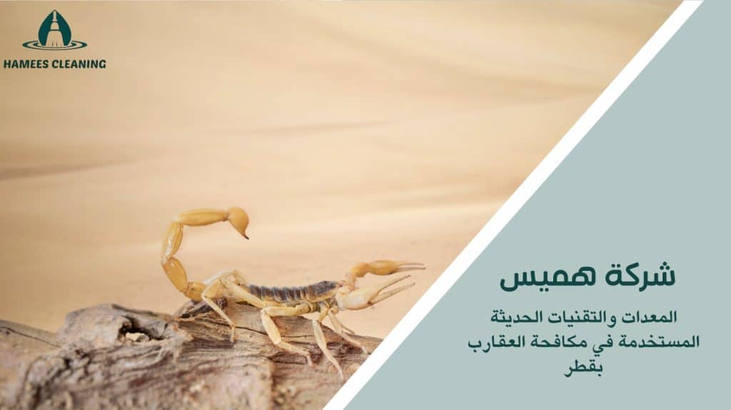 مكافحة العقارب في قطر