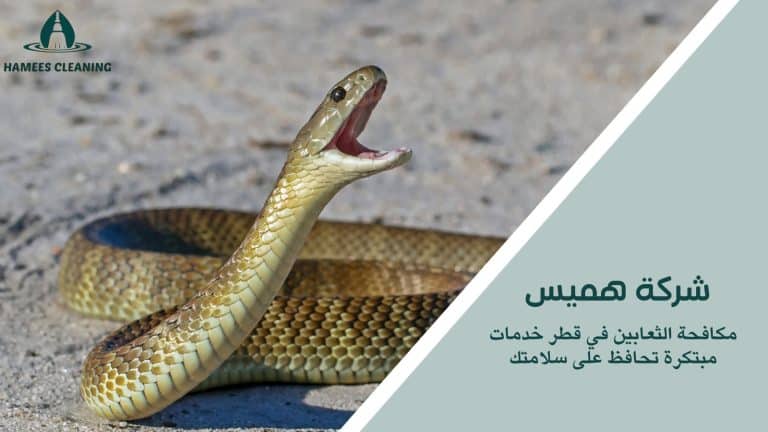 مكافحة الثعابين في قطر