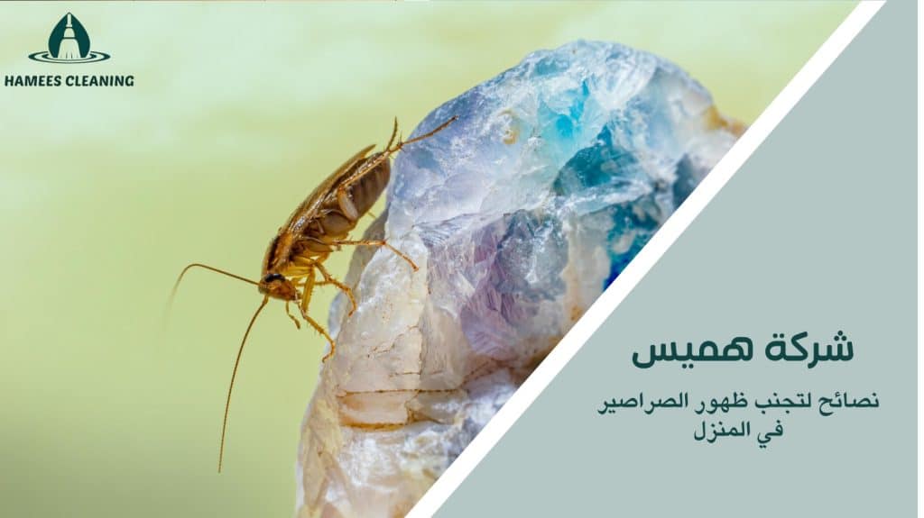مكافحة الصراصير الشرقية في قطر
