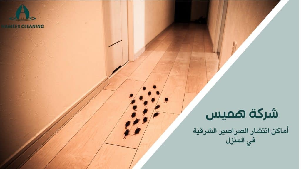 مكافحة الصراصير الشرقية في قطر