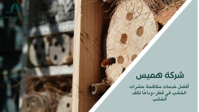 مكافحة حشرات الخشب في قطر
