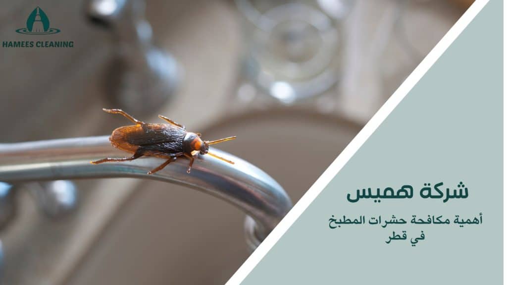 مكافحة حشرات المطبخ في قطر
