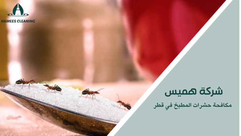 مكافحة حشرات المطبخ في قطر