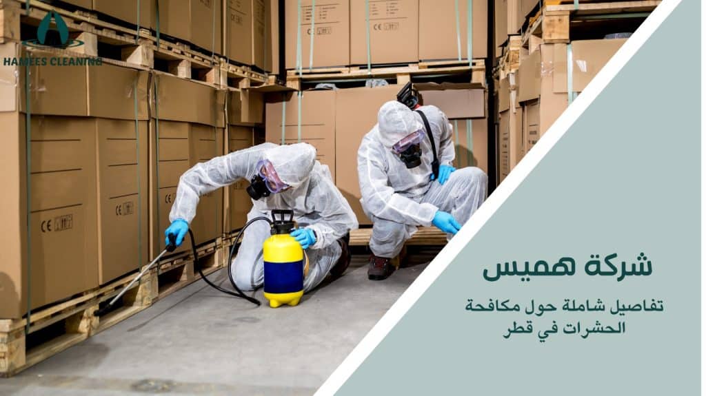 مكافحة حشرات في قطر