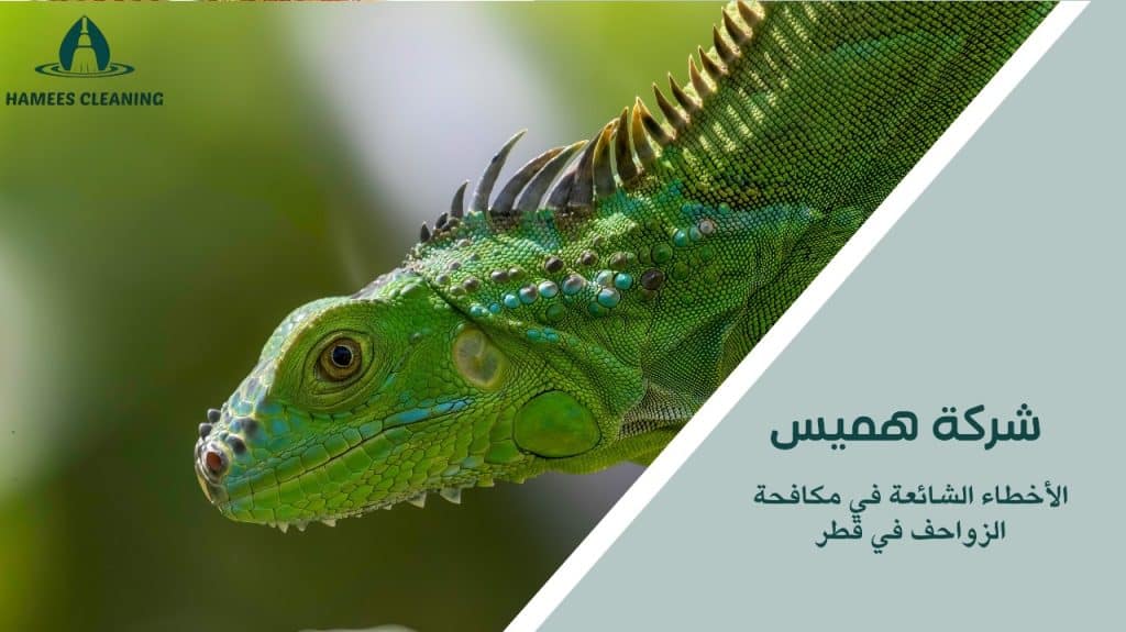 مكافحة الزواحف في قطر
