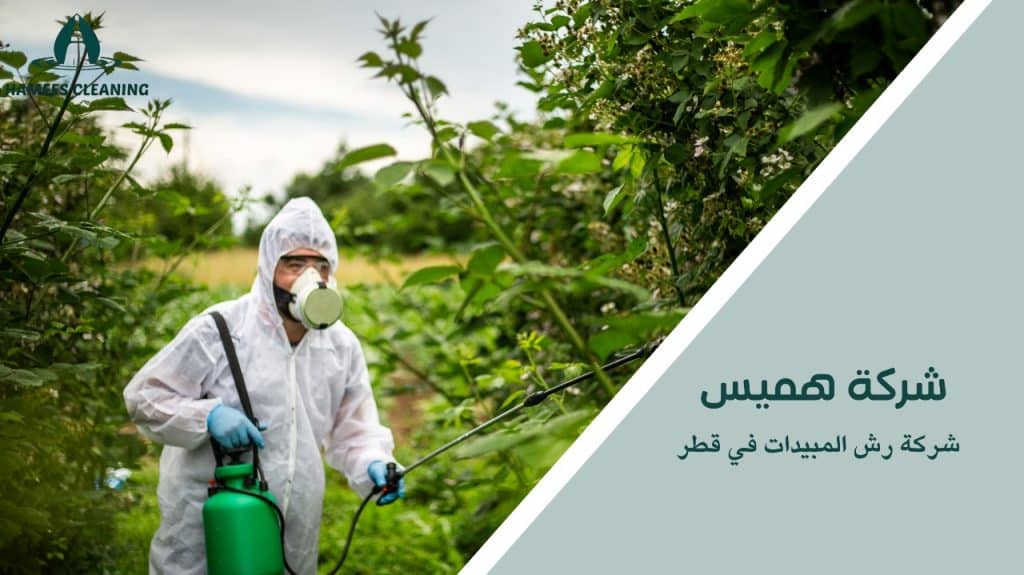 رش مبيدات في قطر