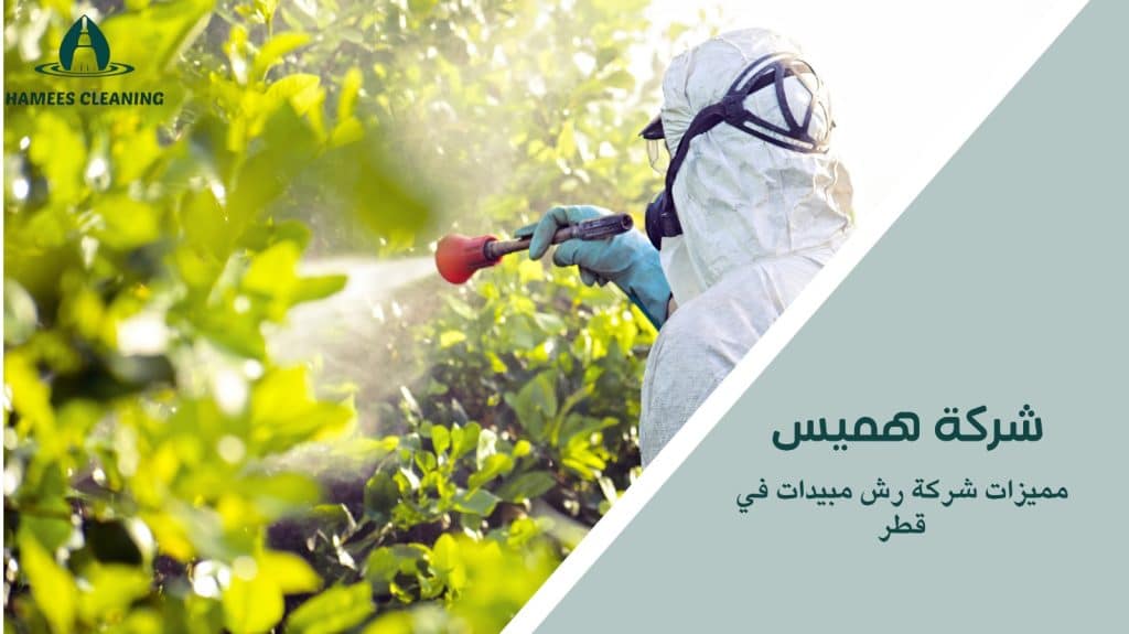شركة رش مبيدات في قطر