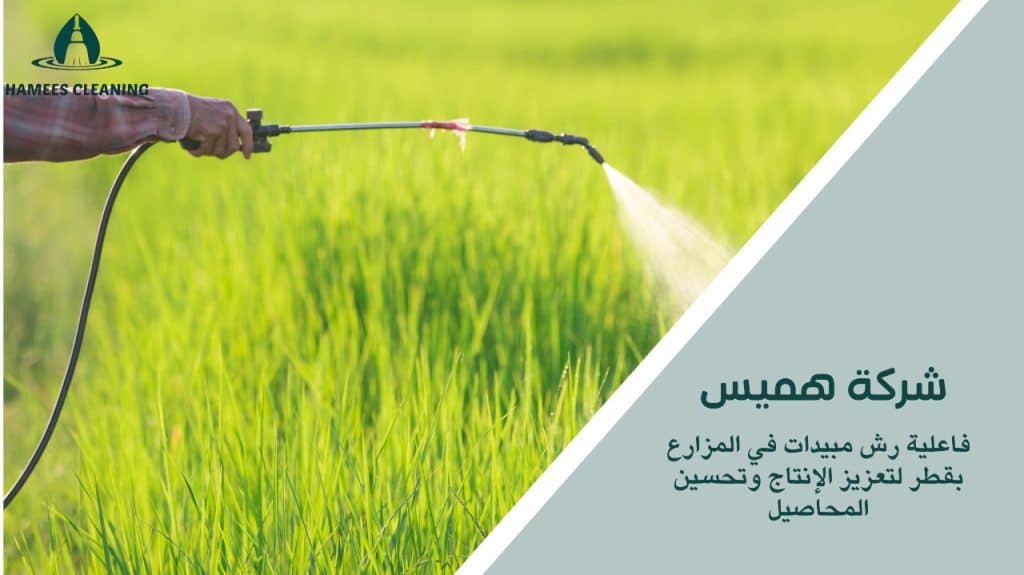 رش مبيدات في المزارع بقطر