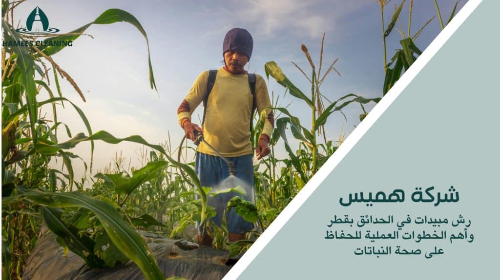 رش مبيدات في الحدائق بقطر