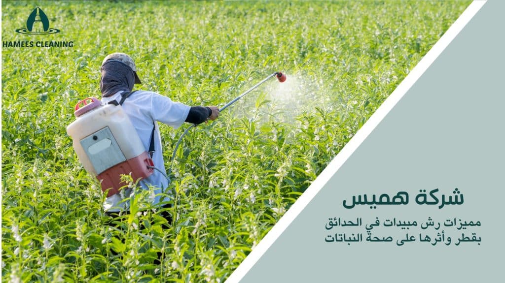 رش مبيدات في الحدائق بقطر