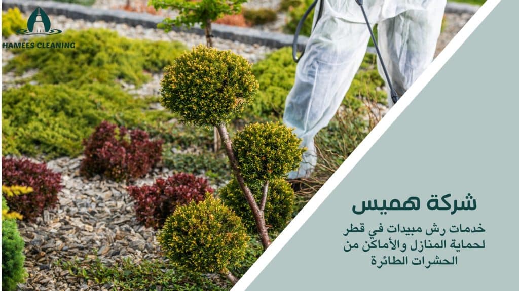 رش مبيدات ضد الحشرات الطائرة في قطر