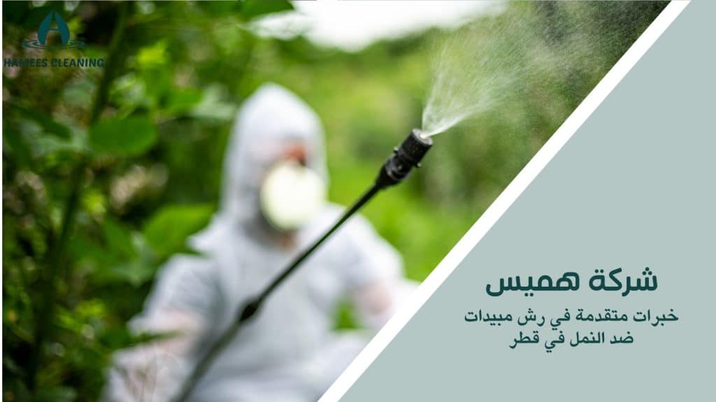 رش مبيدات ضد النمل في قطر